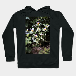 Horn violets Hoodie